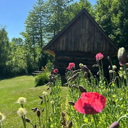 Chalúpka Pod Rozsutcom Chalet Zázrivá